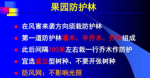 著名栽培专家彭良志研究员的精品课程 柑桔园规划建设与幼树管理 的ppt课件